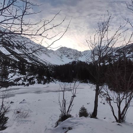 Western Tatras Slovakia Oravsky Biely Potok Exterior foto